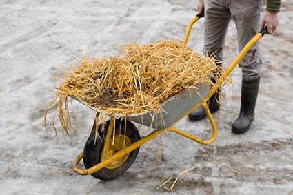 kruiwagen-paardenmest