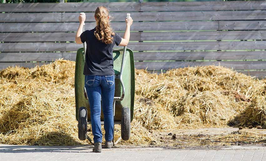 kruiwagen-met-paardenmest-kiepen-bij-mestplaat-manege-in-de-buurt