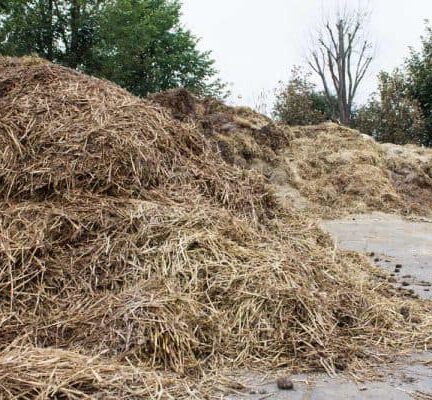 mesthoop-paardenmest-600x400