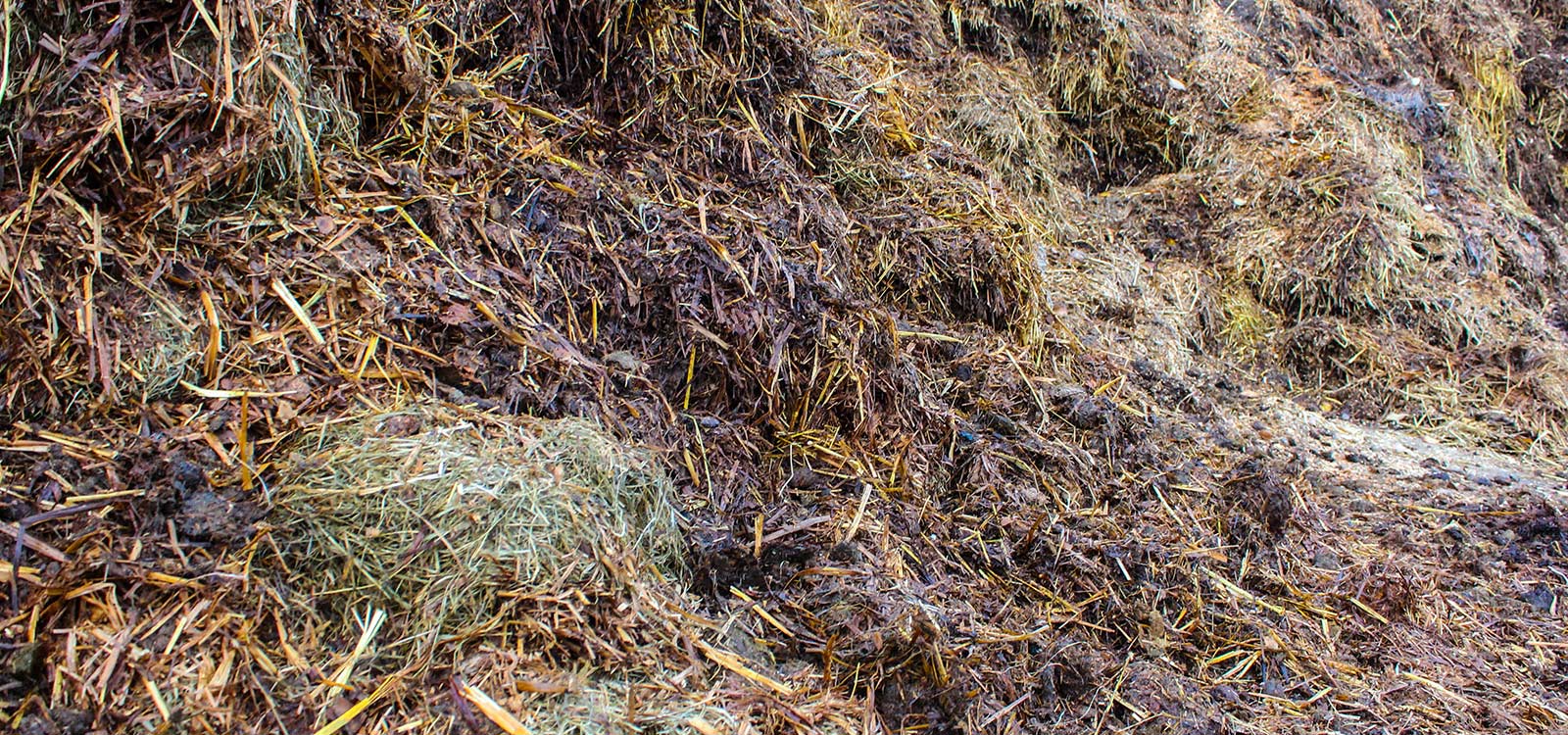 is-paardenmest-een-afvalproduct-header